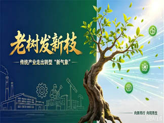 老树发新枝！宜春陶瓷产业智绿链转型焕发新气象